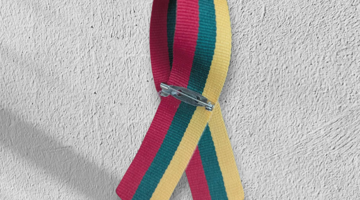 Gaminame trispalves seges  tautiniais motyvais 