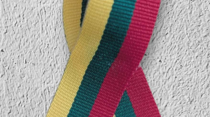 Gaminame trispalves seges  tautiniais motyvais 