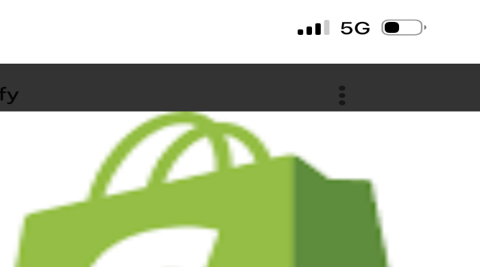 Web svetaines, e-shop