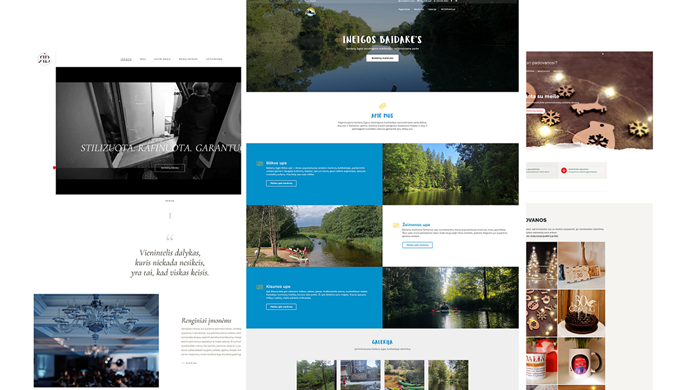 Internetinių svetainių, el. parduotuvių ir LMS sistemų kūrimas ir administravimas