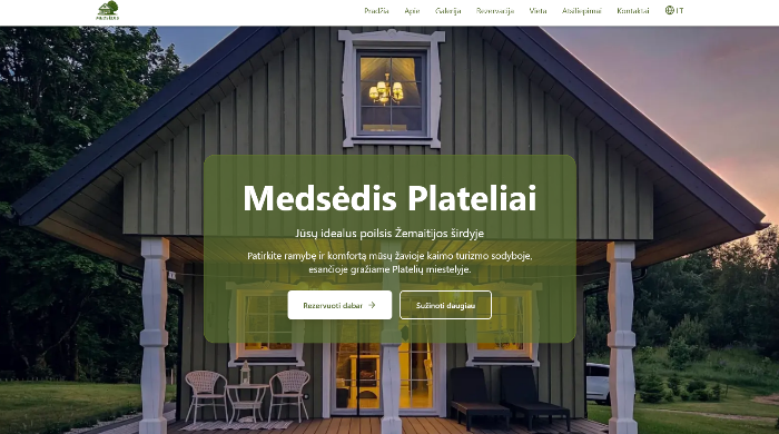 Svetainės, verslo sistemos, individualūs IT sprendimai. Nuo idėjos iki palaikymo – modernios technologijos, pritaikytos jūsų verslui. 