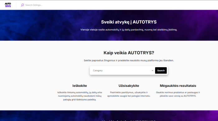 Efektyvus svetainių kūrimas