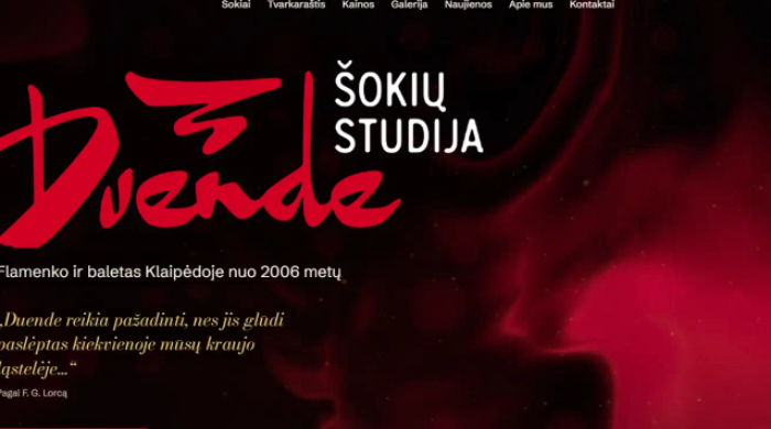 Sukursiu verslo svetainę su užklausų forma